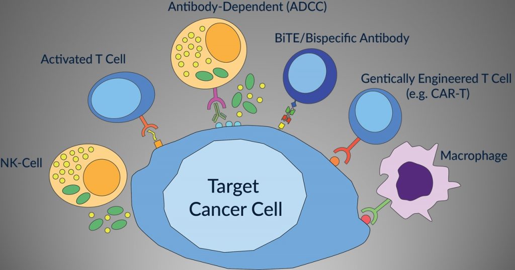 Tumor immunotherapy could be in many different forms, such as targeted antibodies, cancer vaccines, cell transfer, tumor-infecting viruses, checkpoint inhibitors, cytokines, and adjuvants